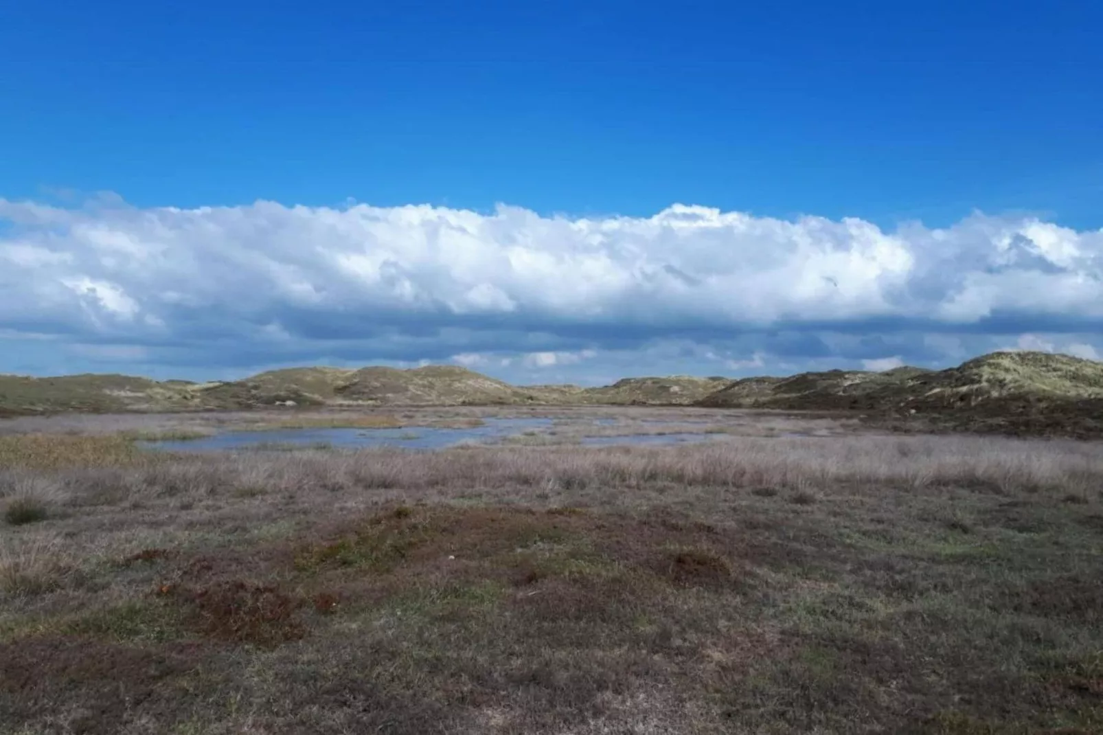 Duynlodge - Duynpark-Gebieden zomer 20km