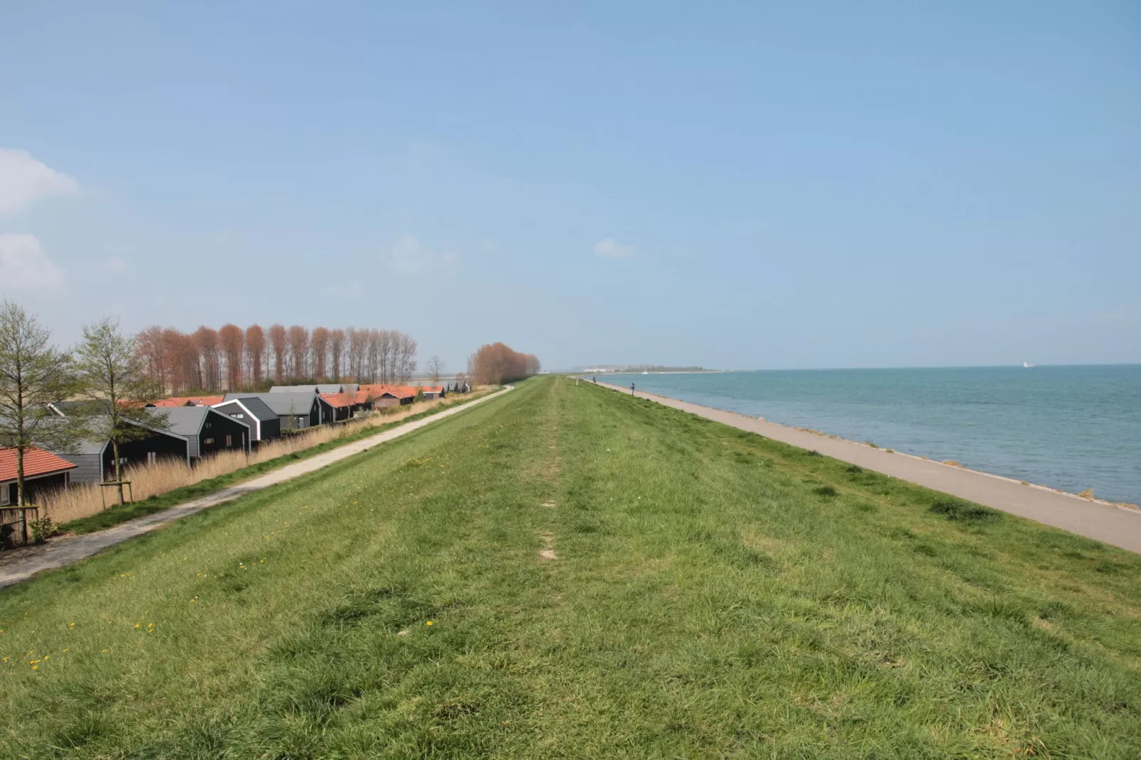 Weidse Blik-Gebieden zomer 1km