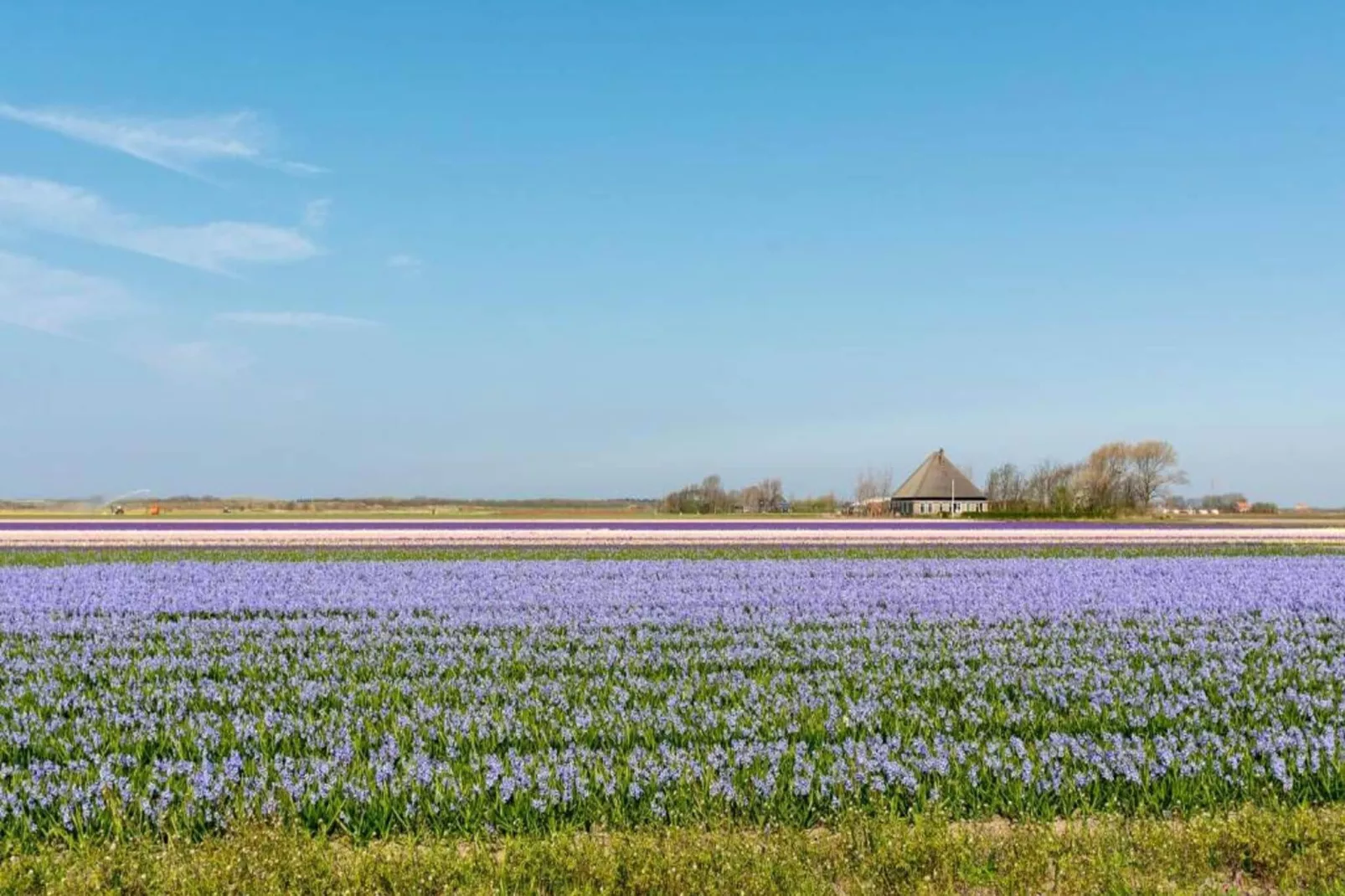 Luxe Villa Keizerskroon - Keizerkroon 63-Gebieden zomer 5km