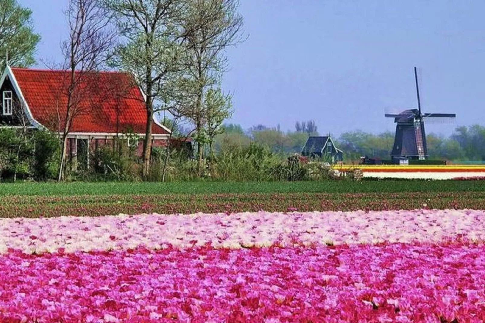 Vossehoeck 2-Gebieden zomer 20km