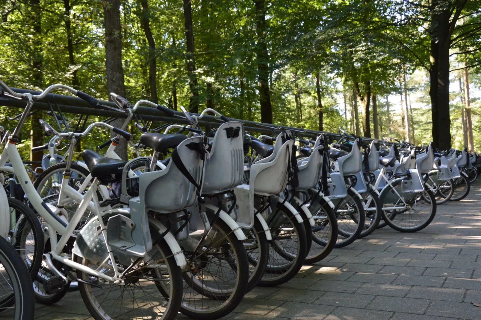 Genieten in Garderen-Gebieden zomer 20km