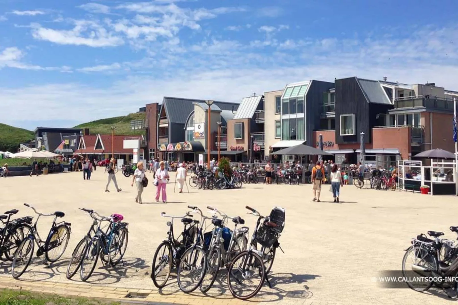 Beach Lodge - Duynpark-Gebieden zomer 5km