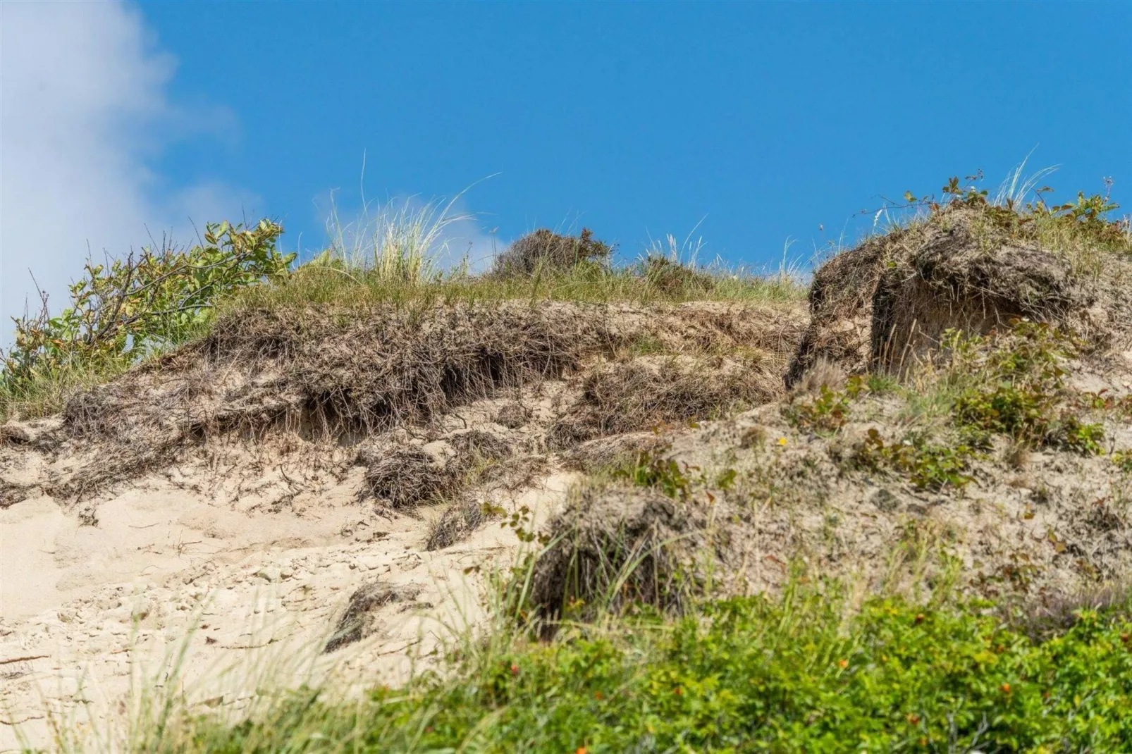 Beach Studio Campanula-Gebieden zomer 5km