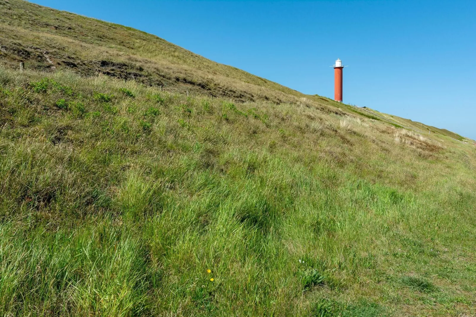 Langevliet 4 Klaver 4-Gebieden zomer 5km