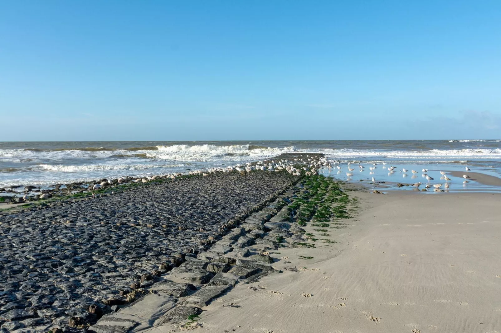 Wijde Blick 311-Gebieden zomer 20km