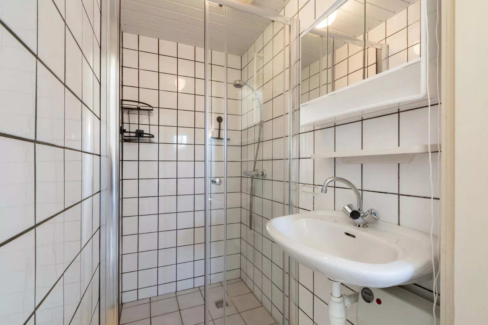 Wildrijk 141-Badkamer
