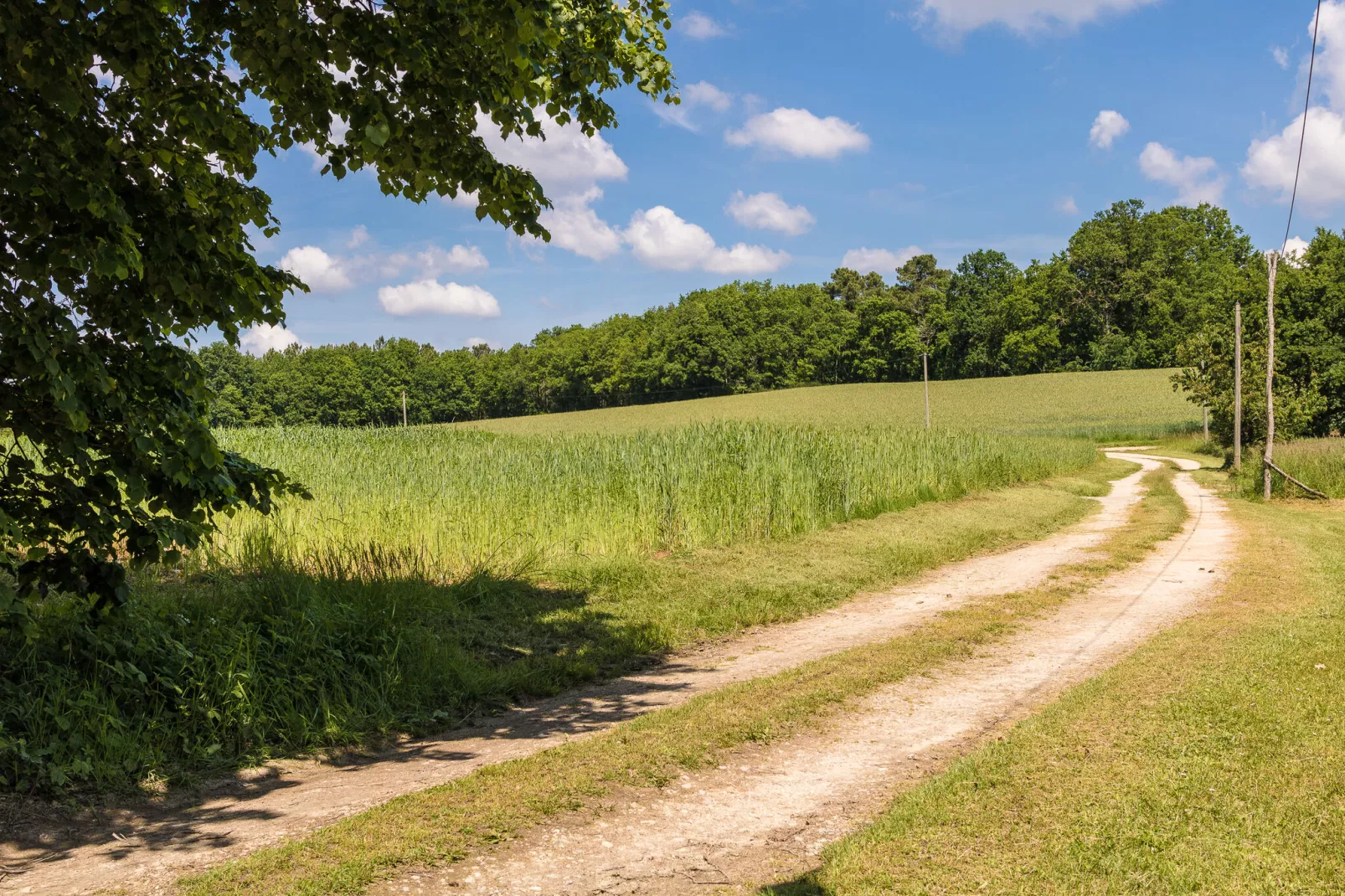 Le Tournant-Gebieden zomer 1km