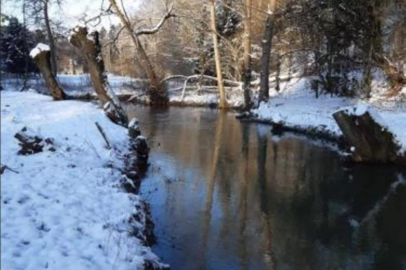 La Forgerie-Tuin winter