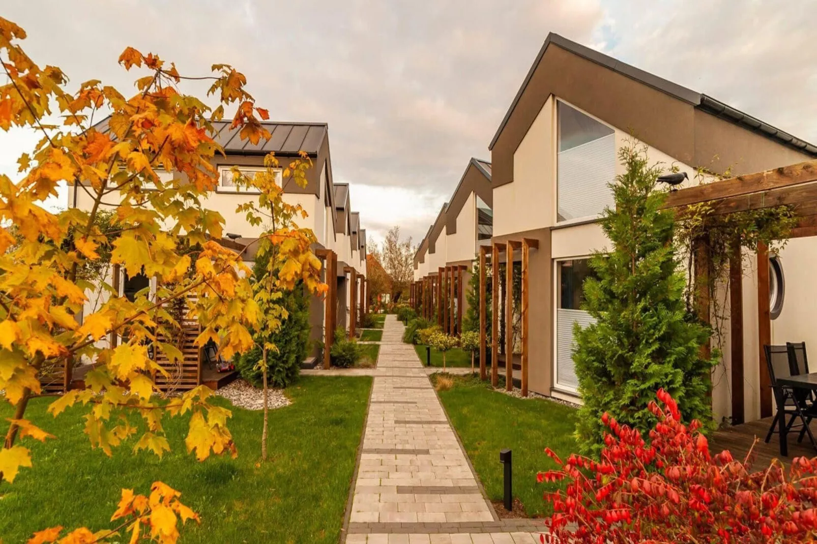 Domek Komfortowy 70 m2 Niechorze-Tuinen zomer