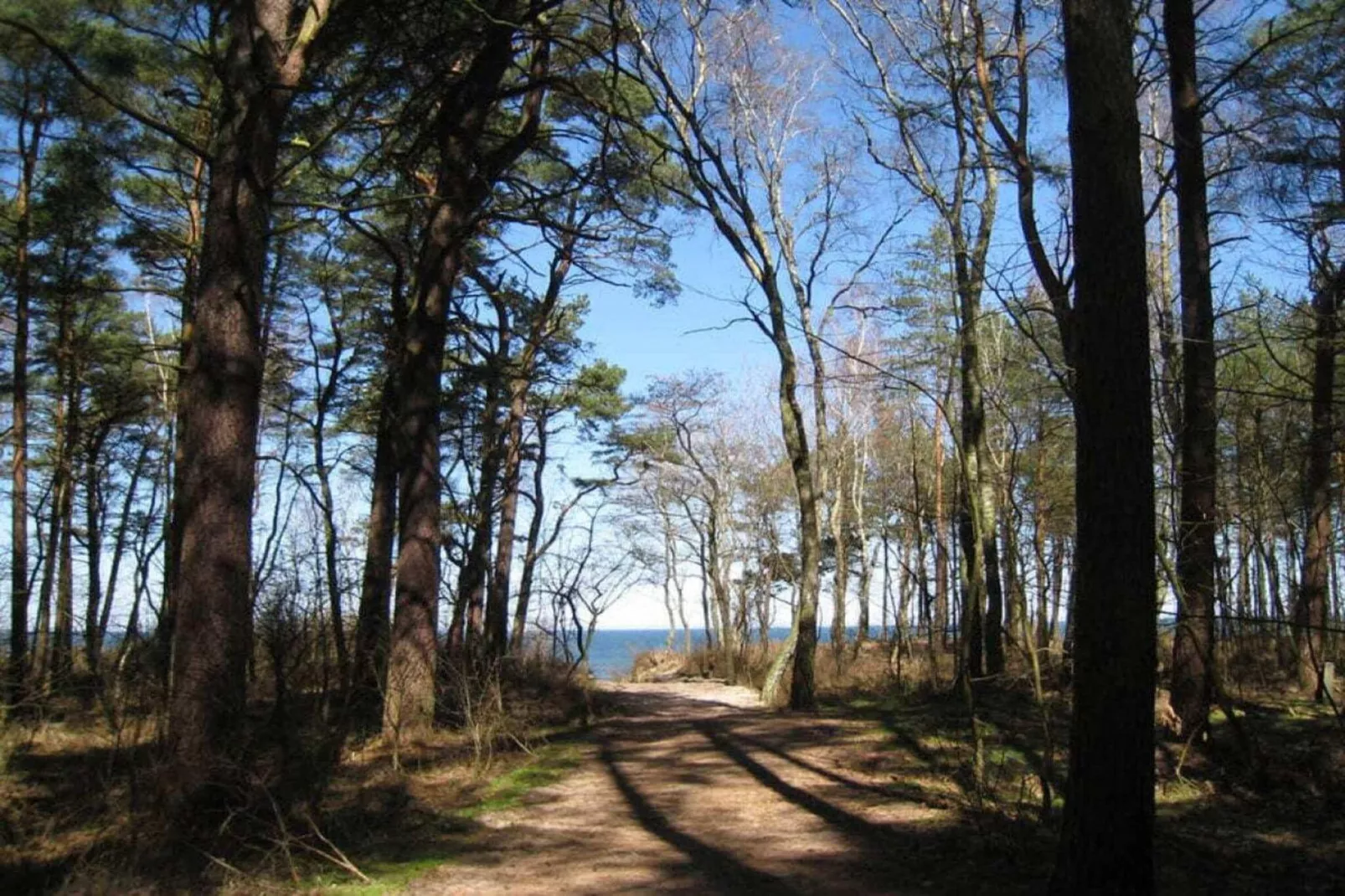 179246-Gebieden zomer 5km