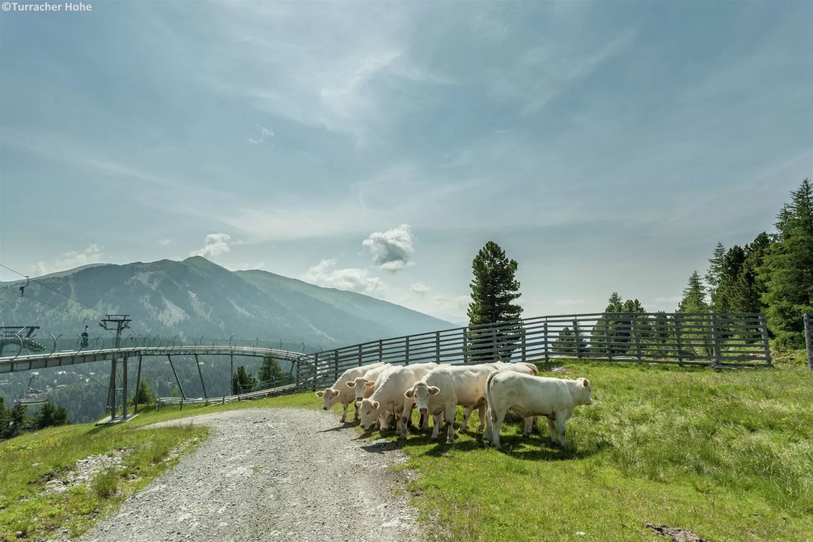 Alpenpark Turrach App4-Gebieden zomer 5km