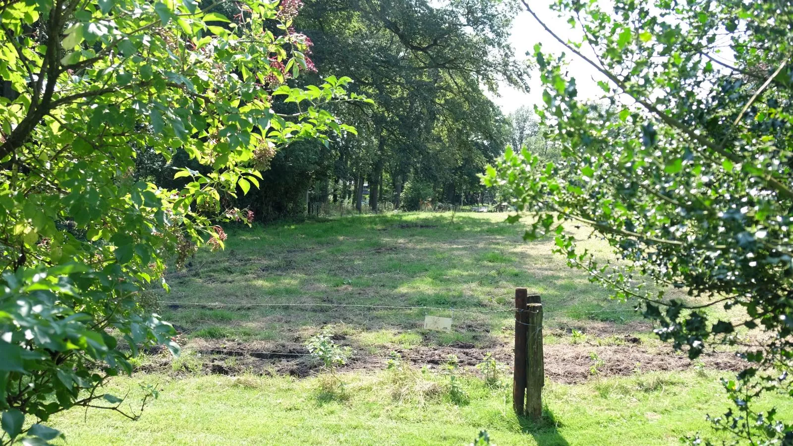 Wellnesshuisje Kalheupink-Uitzicht zomer