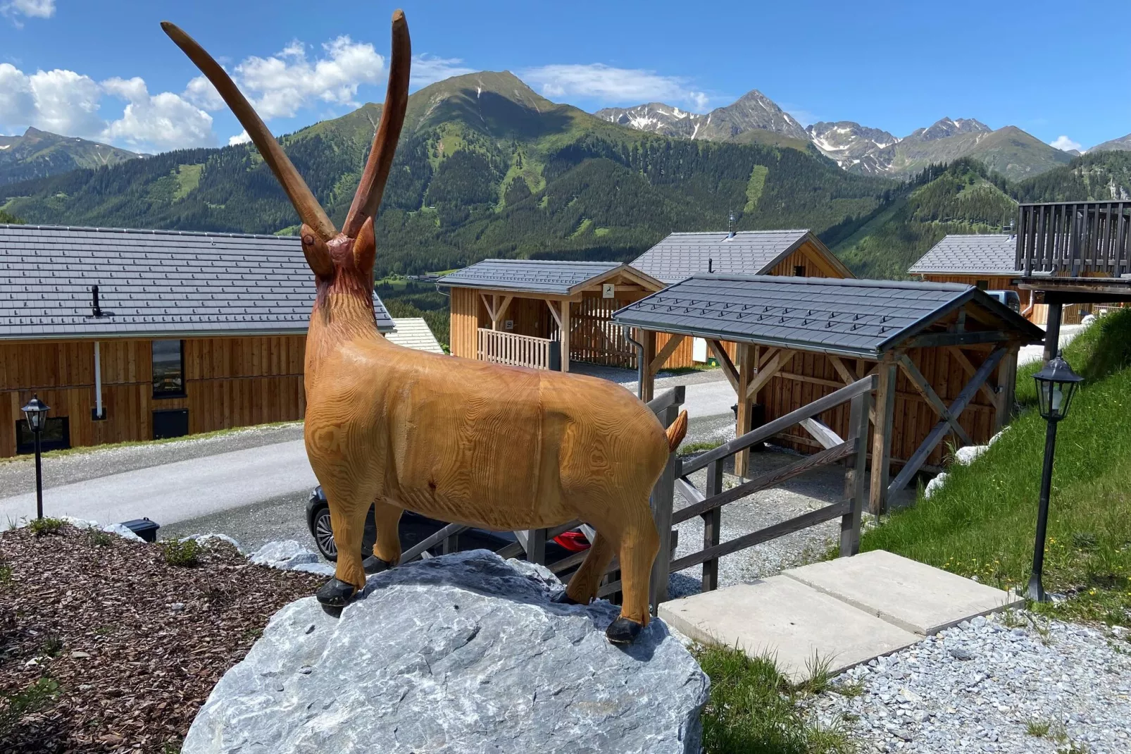 Almdorf Hohentauern 58-Uitzicht zomer