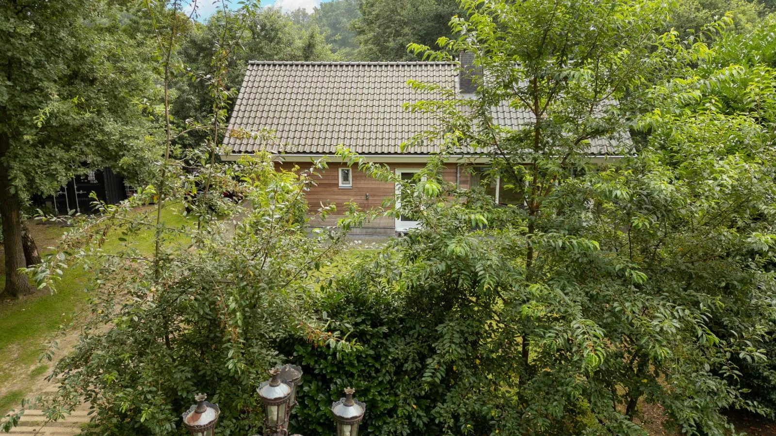 Boszicht Reutum-Buitenkant zomer