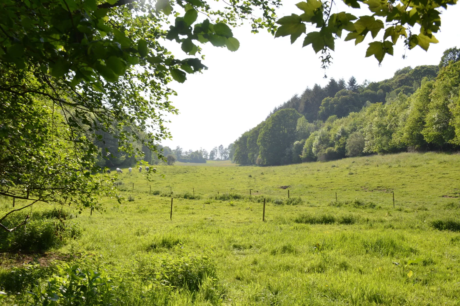 Enjoyquare 18-Gebieden zomer 5km