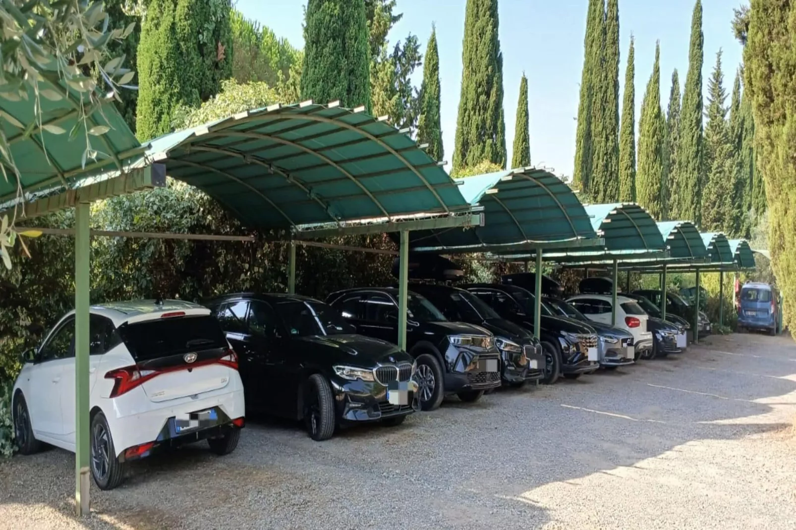 Ortensia e Glicine