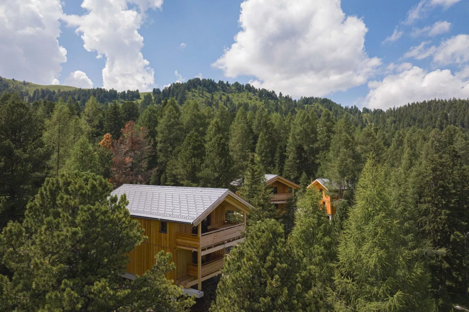 Naturchalets Turracher Höhe 2-Gebieden zomer 1km