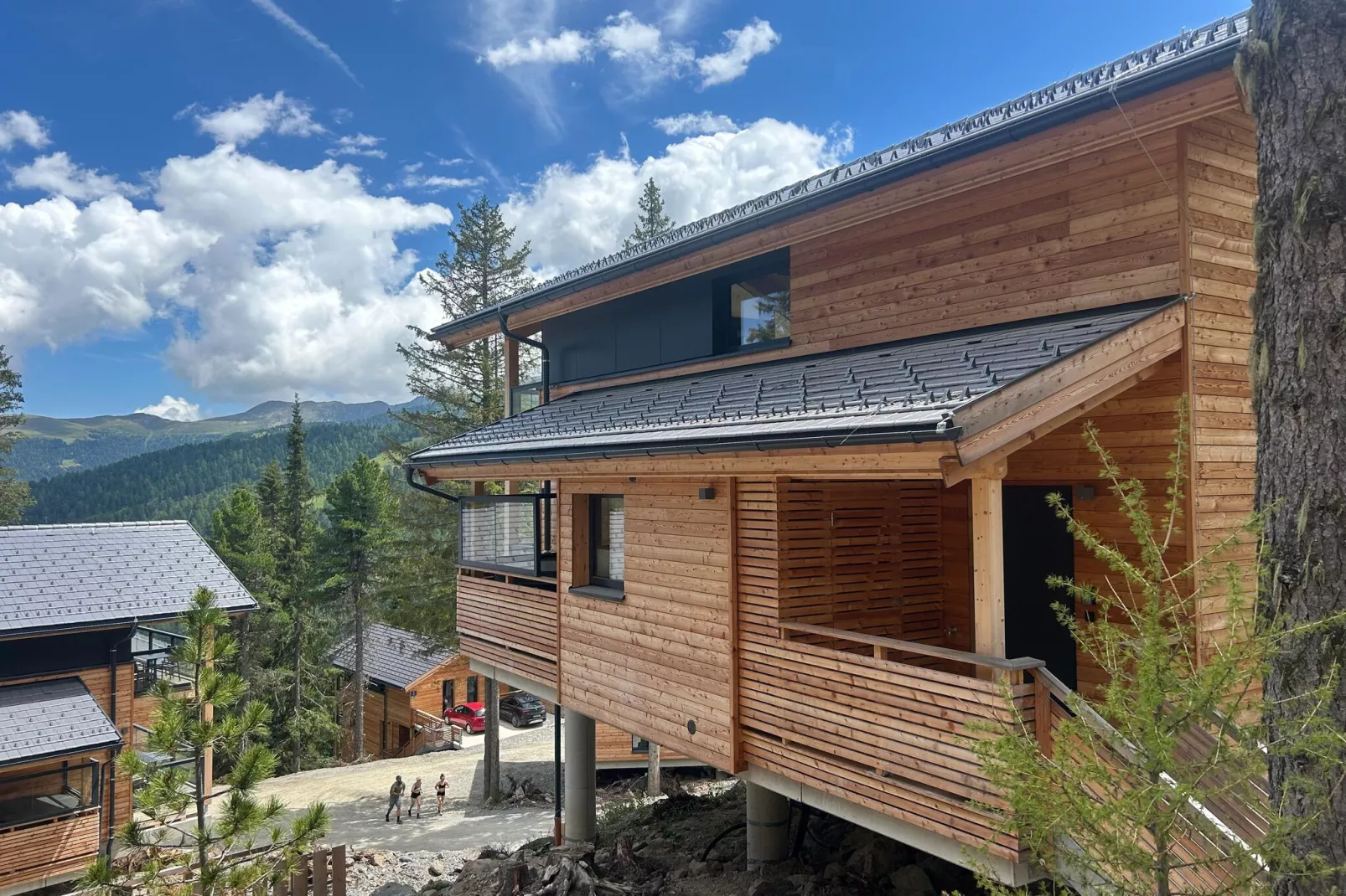 Naturchalets Turracher Höhe 2-Uitzicht zomer