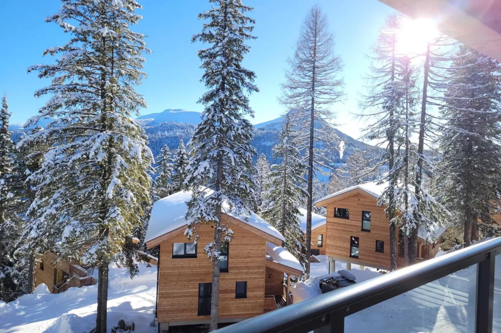 Naturchalets Turracher Höhe 2-Uitzicht winter