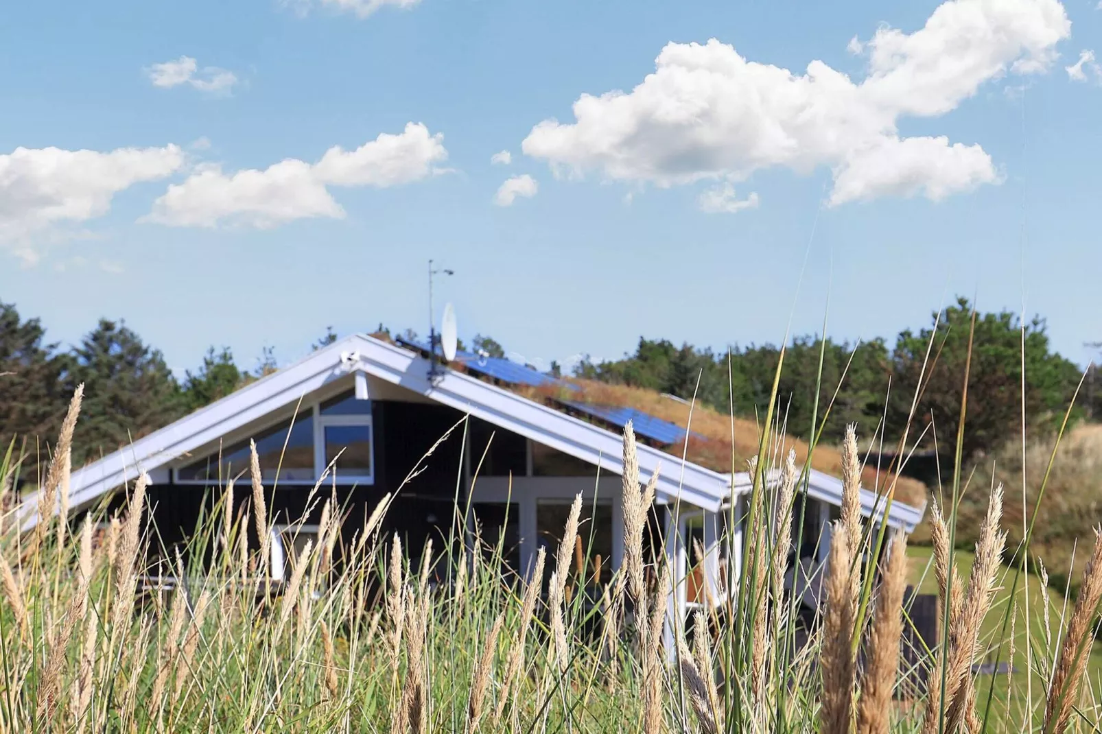 14 persoons vakantie huis in Blokhus-By Traum-Uitzicht