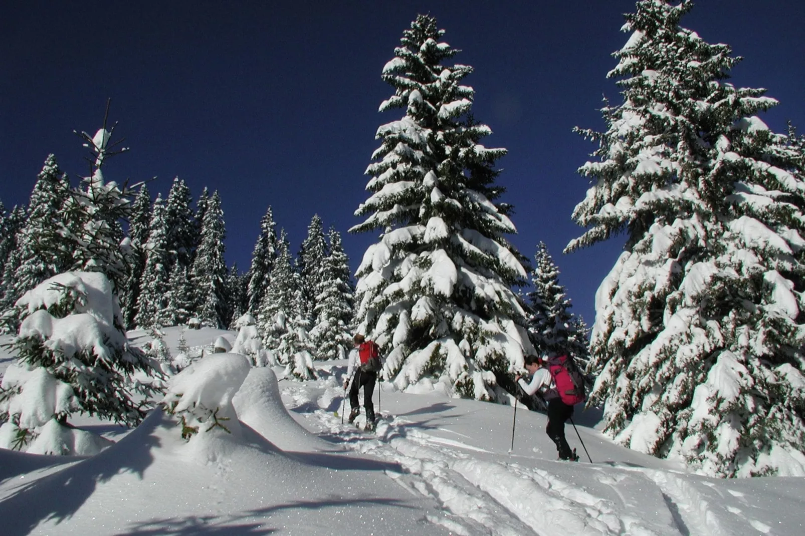 Erzberg Alpin Resort  9-Gebied winter 5km