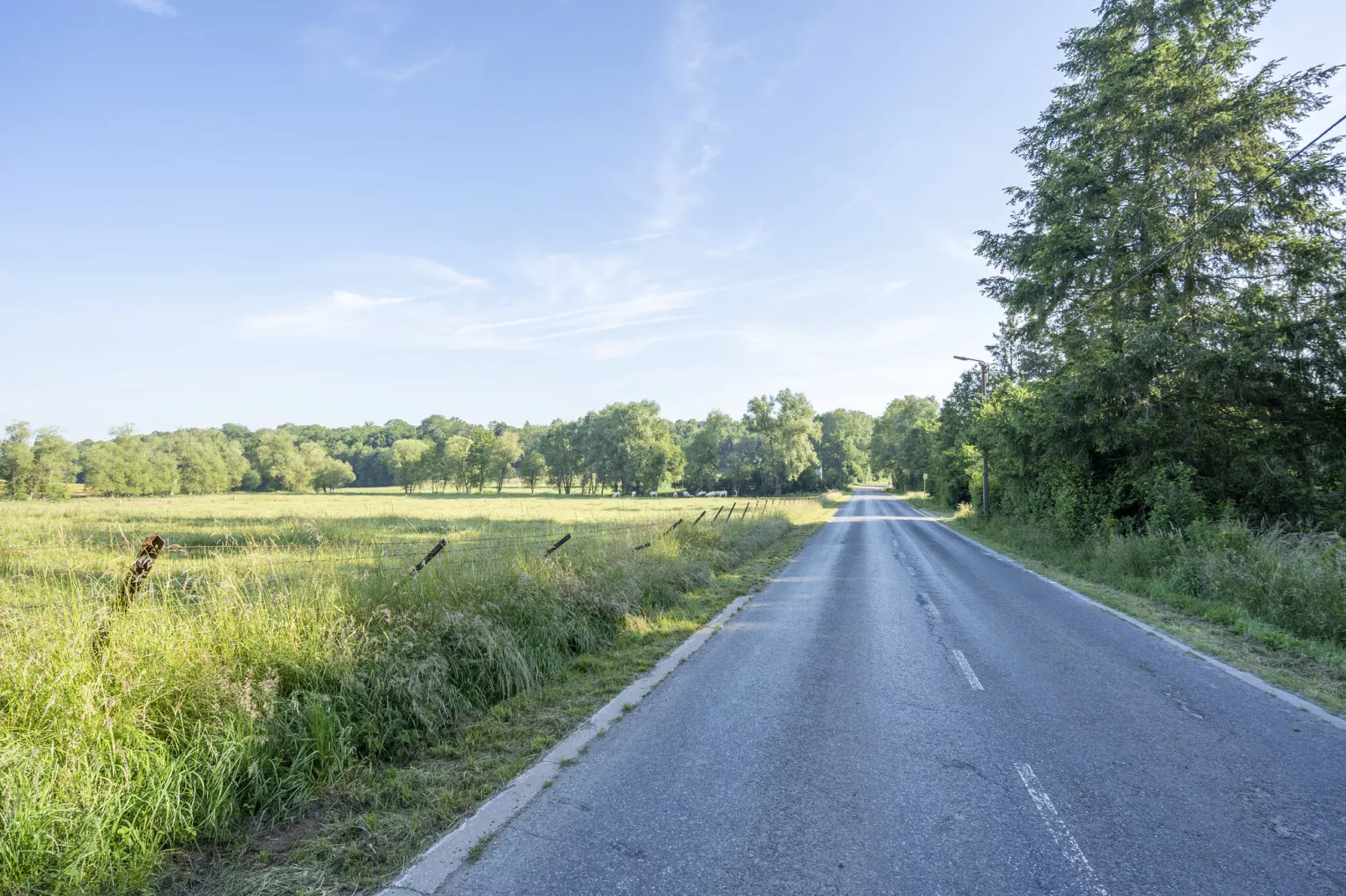 Château de Senzeilles 1-Gebieden zomer 1km