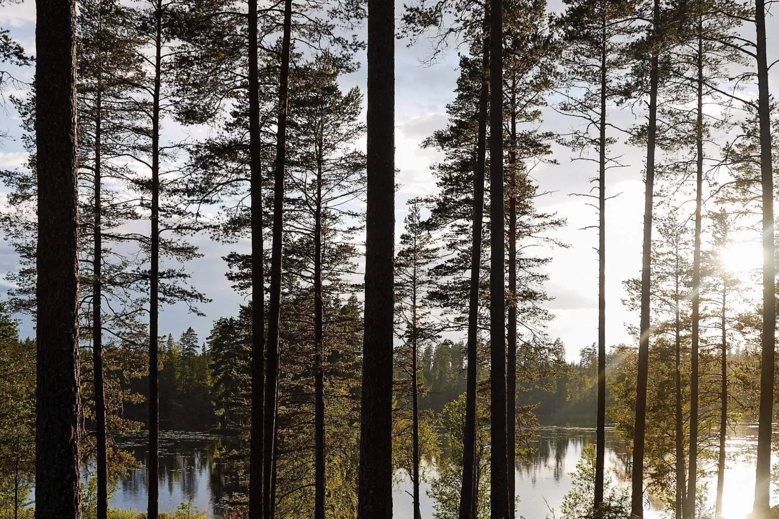 16 persoons vakantie huis in PÅLSBODA-By Traum-Uitzicht