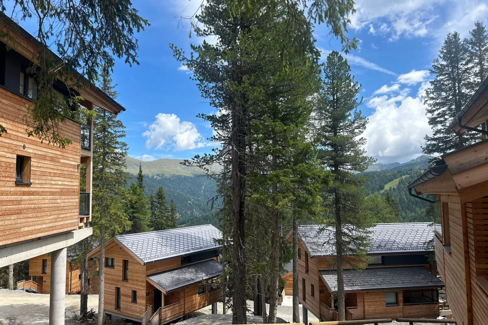 Naturchalets Turracher Höhe 3-Uitzicht zomer