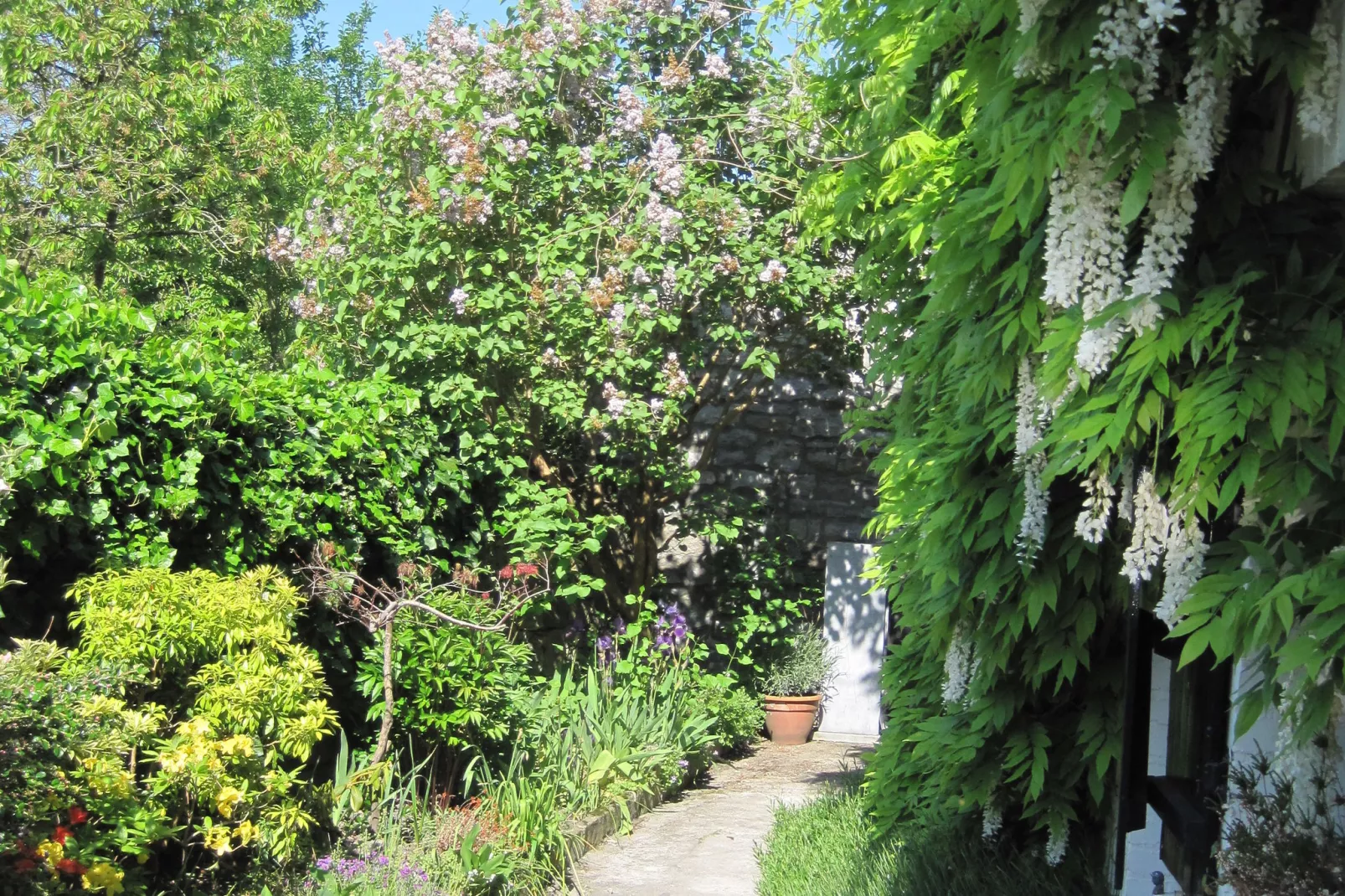 La Ferme d'Amélie-Tuinen zomer