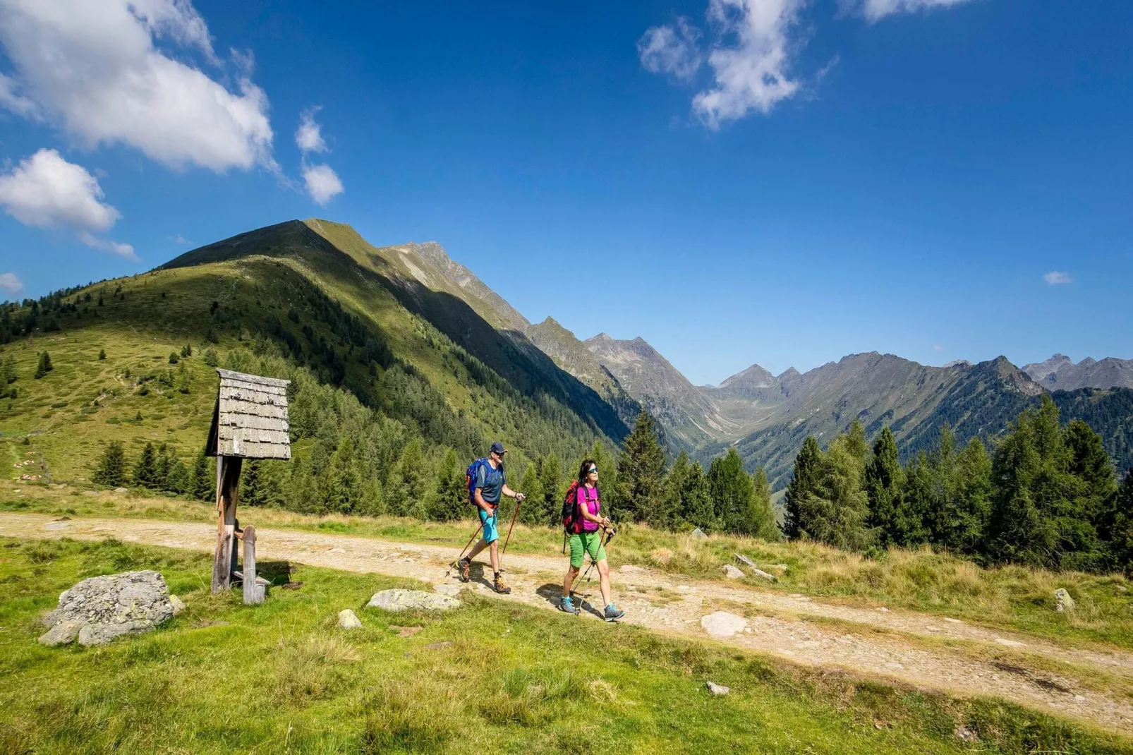 Alpenchalets Reiteralm 10-Gebieden zomer 5km