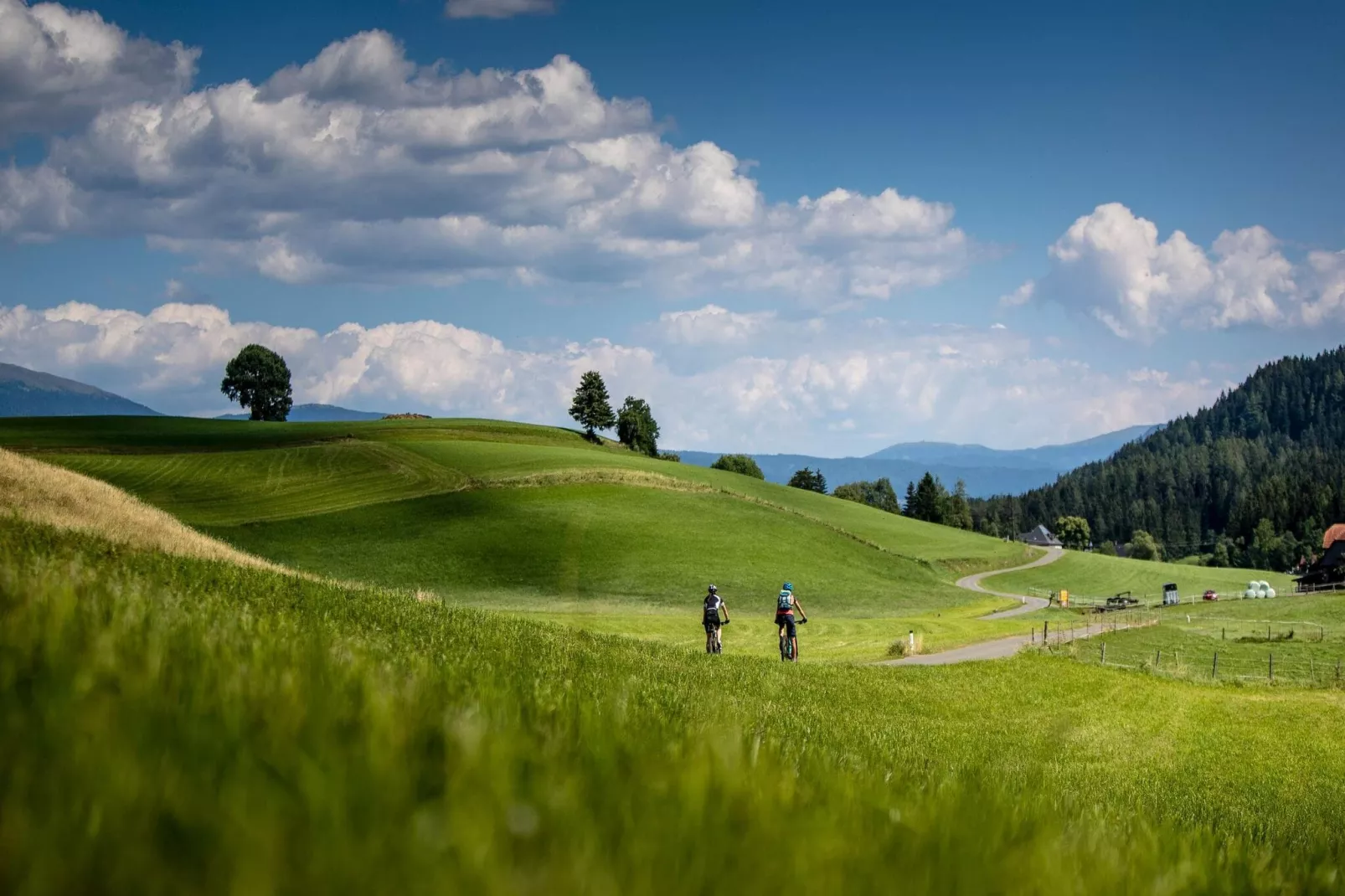Alpenchalets Reiteralm 10-Gebieden zomer 20km