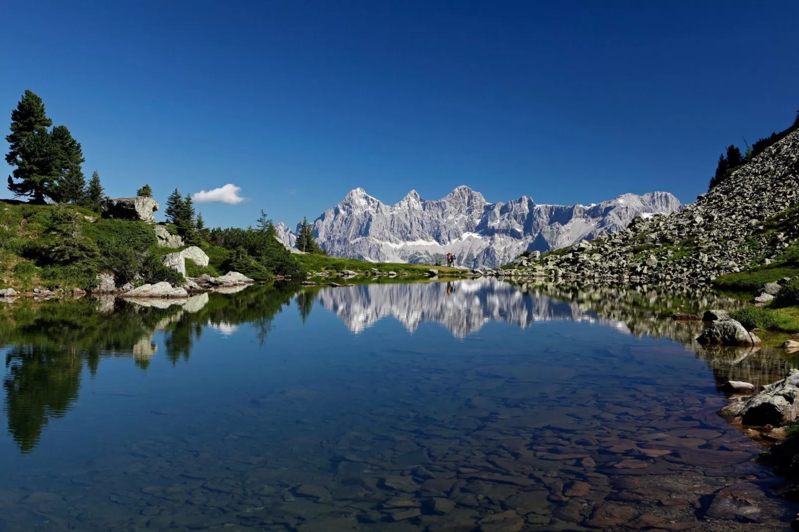Alpenchalets Reiteralm 9-Gebieden zomer 5km