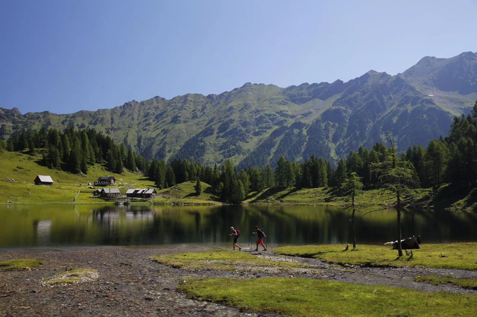 Alpenchalets Reiteralm 13-Gebieden zomer 5km