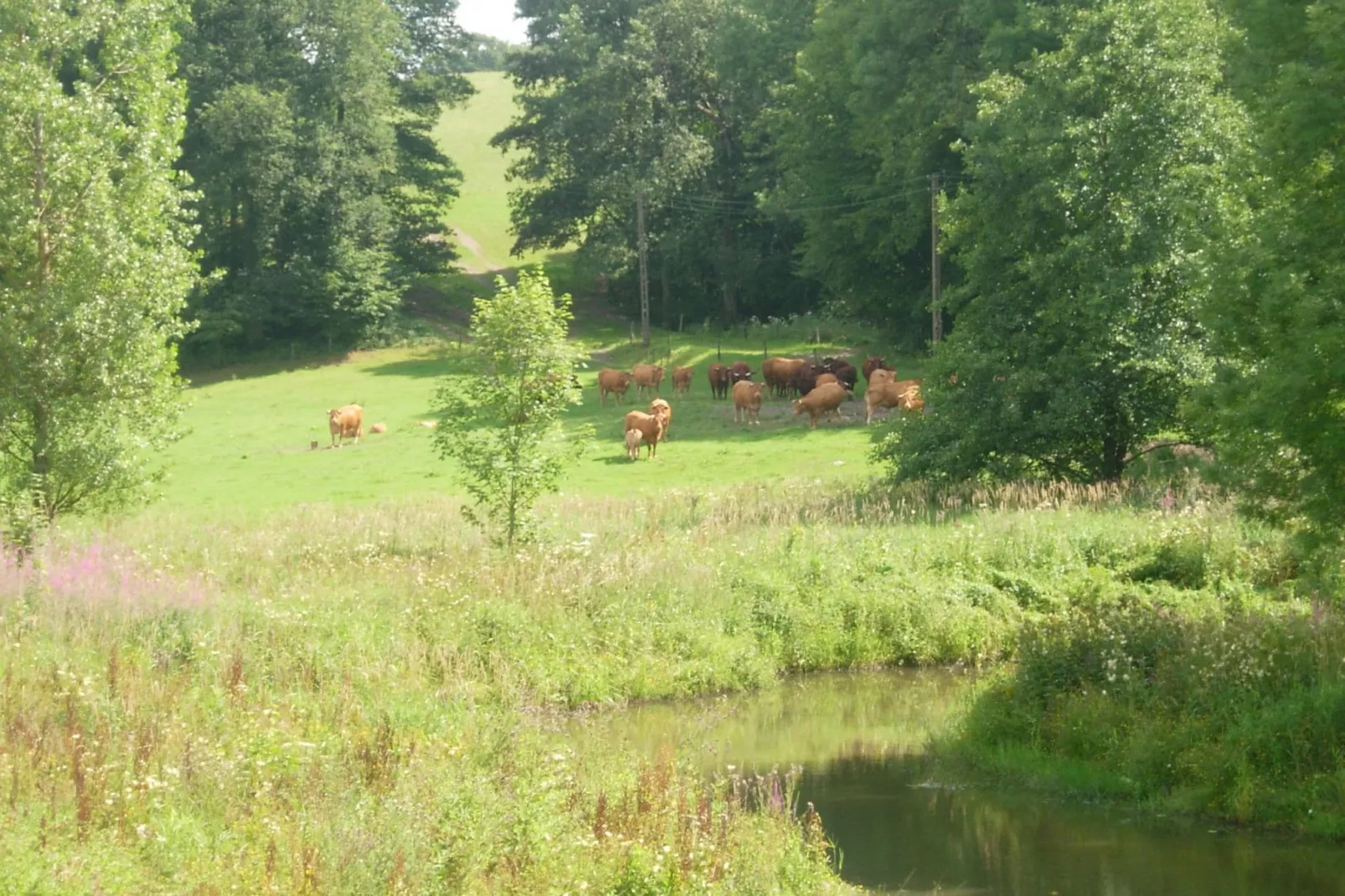 Le Grand Manoir d'Ostenne-Gebieden zomer 5km