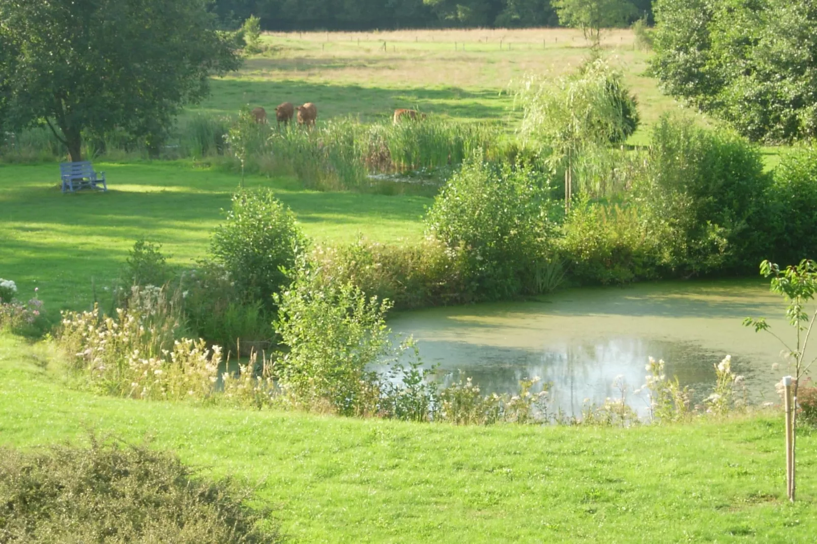 Le Manoir d'Ostenne-Tuinen zomer