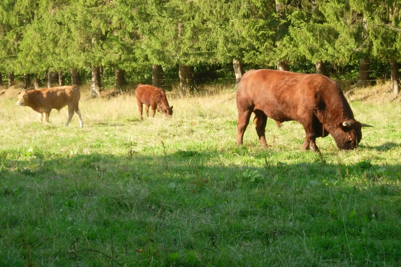 Le Manoir d'Ostenne-Gebieden zomer 20km