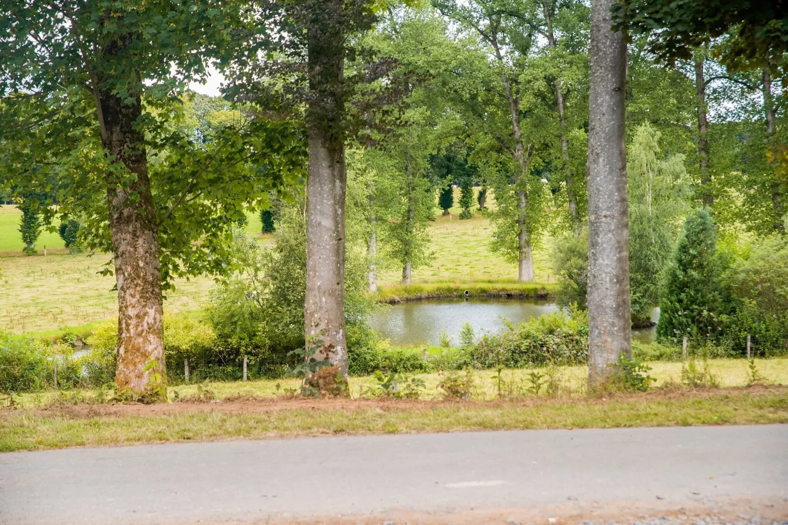 Rogery 64-Gebieden zomer 1km