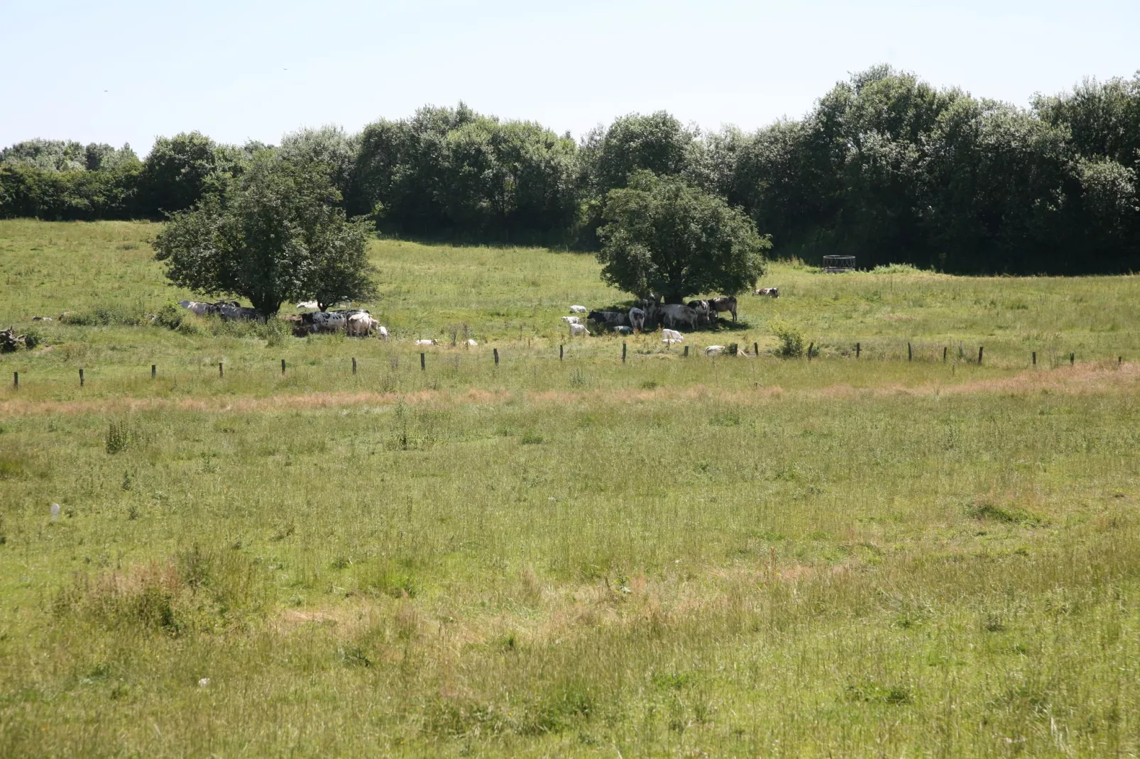 Le Gîte des Grands Prés-Gebieden zomer 1km