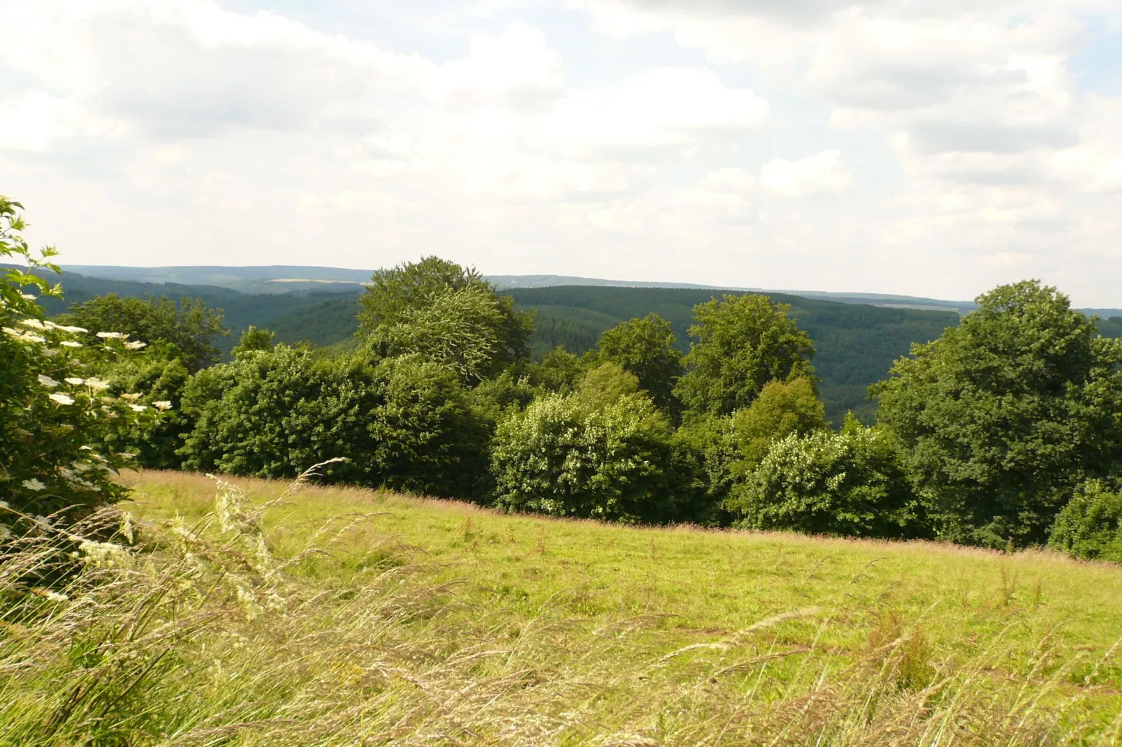 Le Domaine des Arts-Gebieden zomer 1km