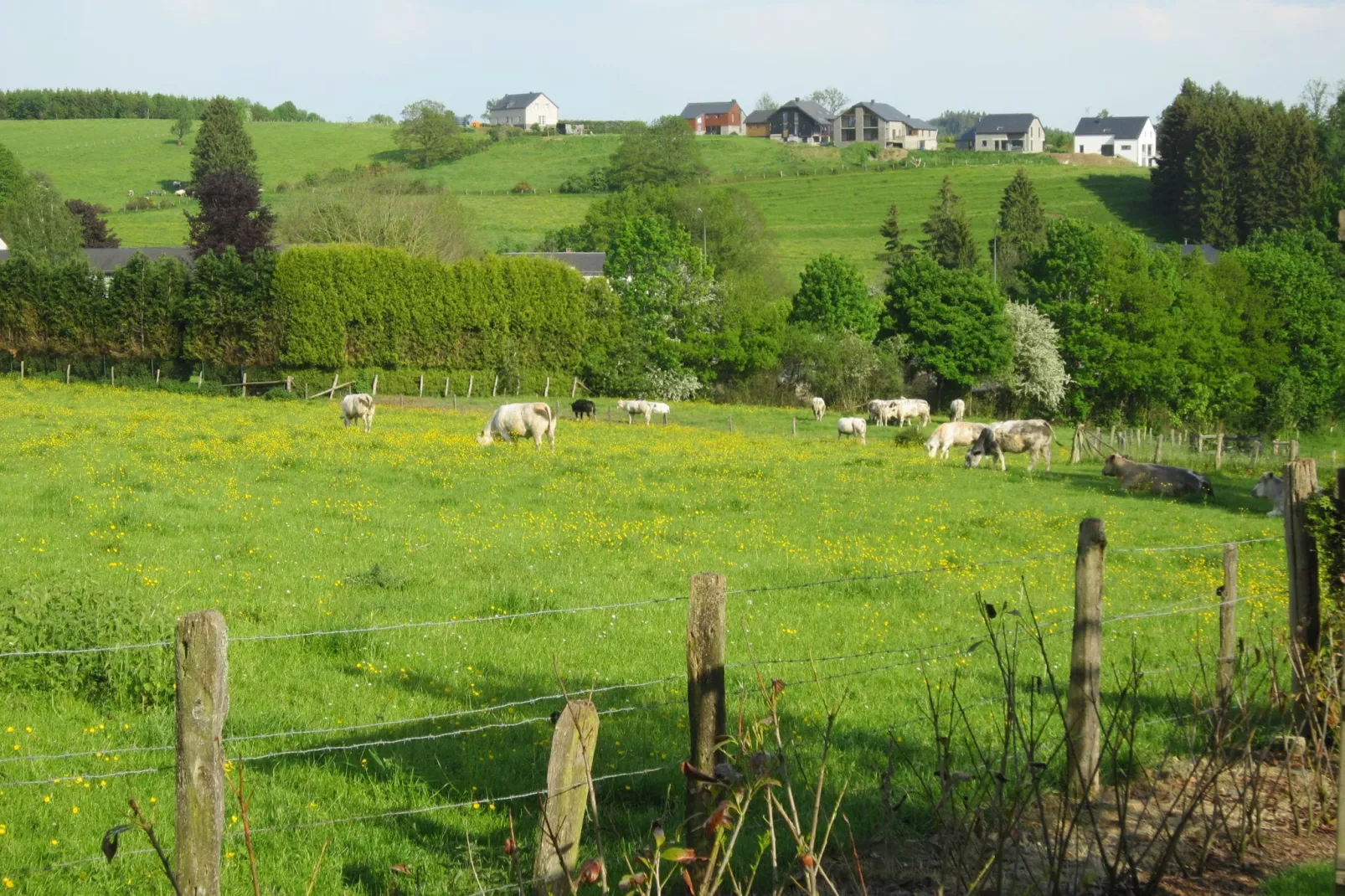 Gite du Courteroye-Uitzicht zomer