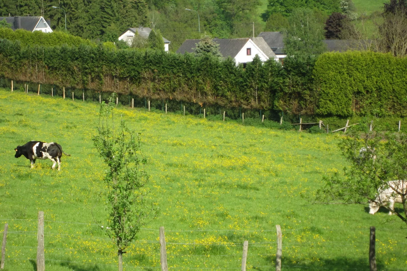 Gite du Courteroye-Gebieden zomer 1km