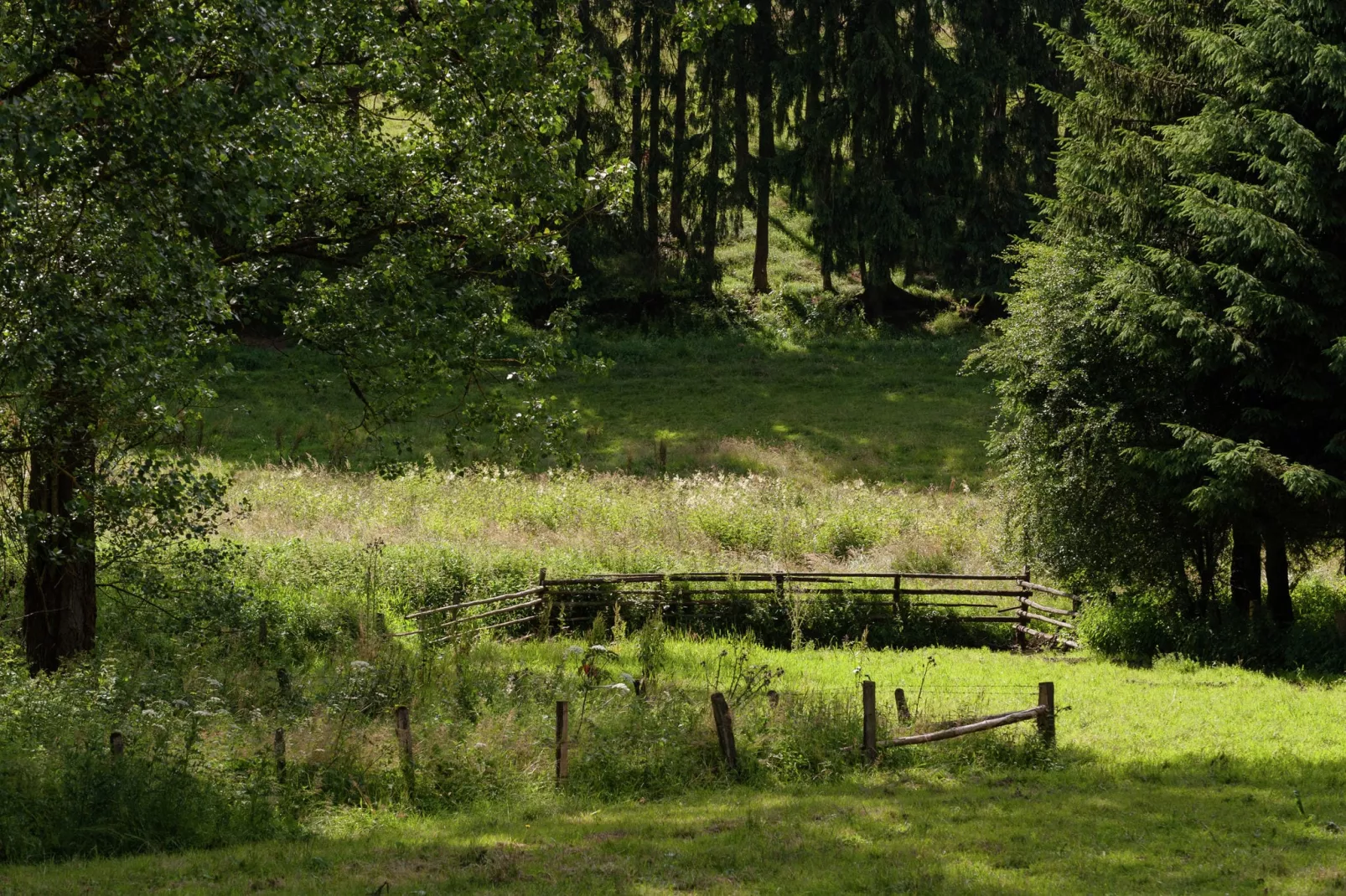 Cetturu-Gebieden zomer 5km