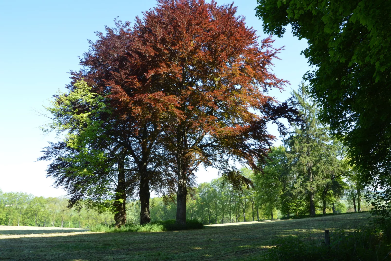 Les Jardins de l'Ourthe 8-Gebieden zomer 20km