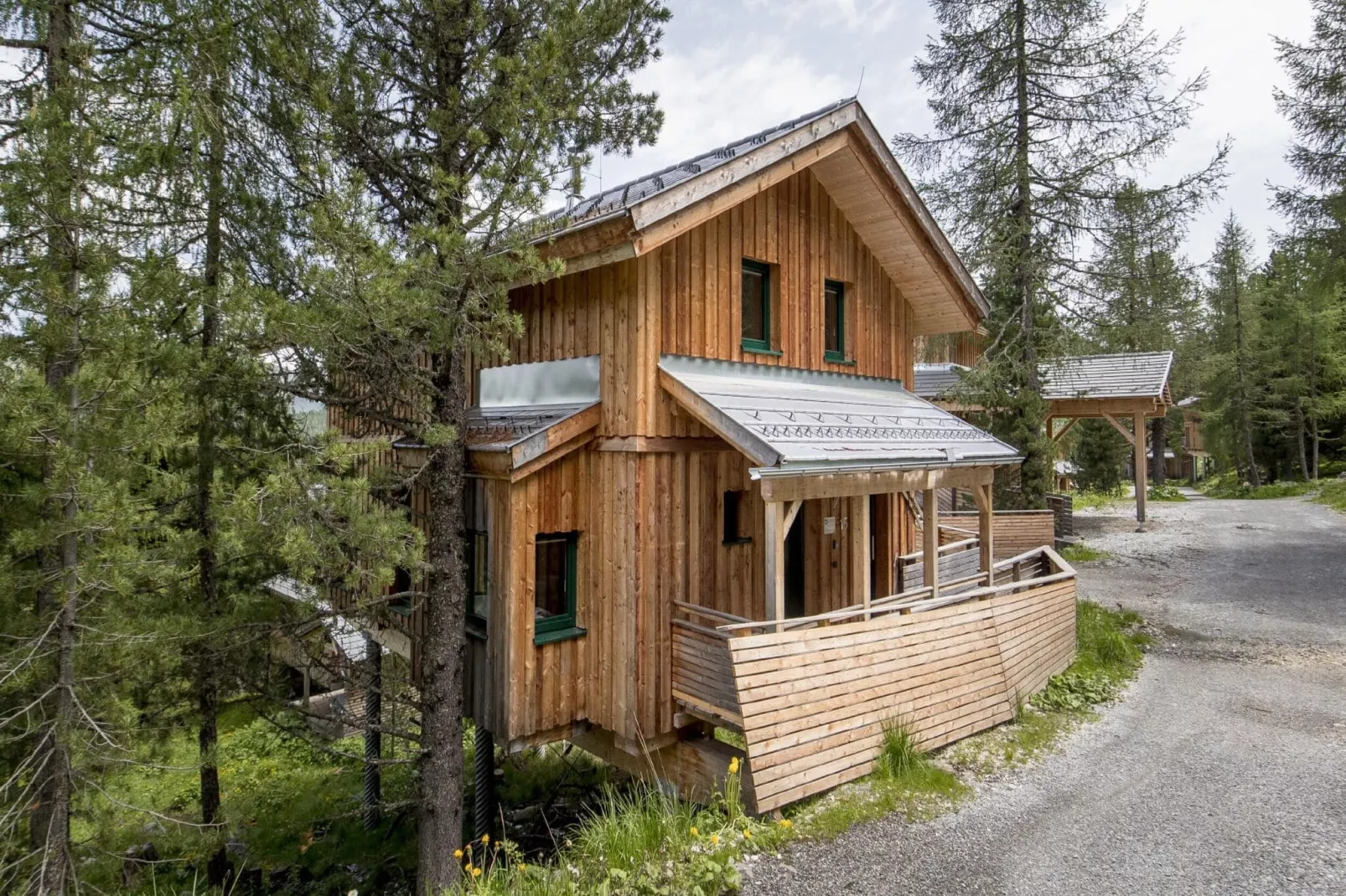 Alpenpark Turrach 14-Buitenkant zomer
