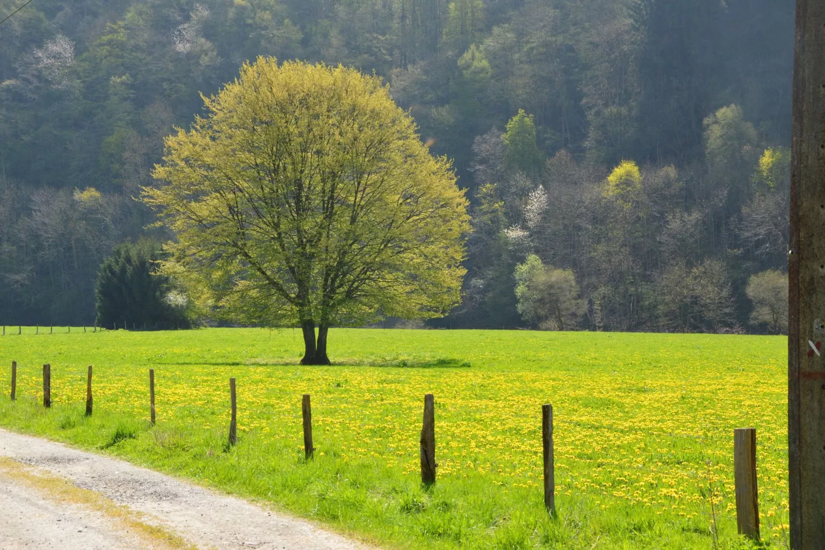 Le Simplement-Gebieden zomer 20km