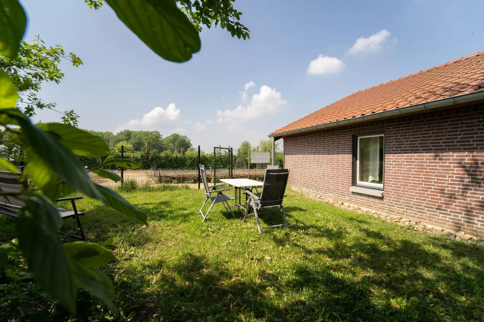gardensummer