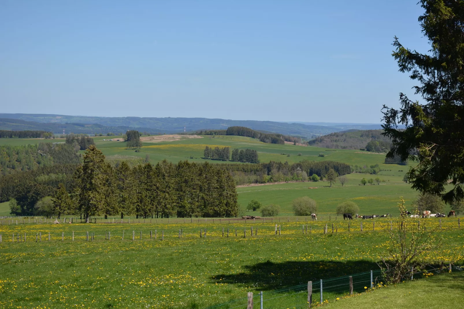 Le Chalet du Coteau-Uitzicht zomer