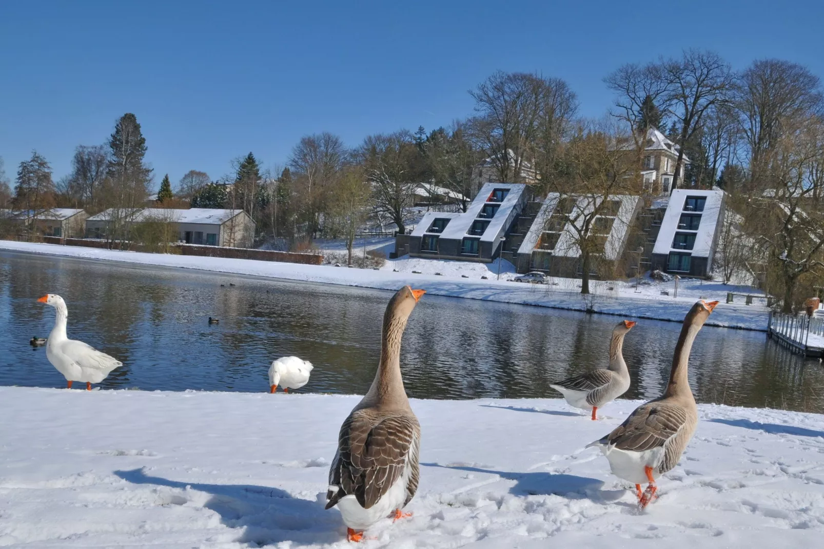 Les Doyards 1-Gebied winter 1km