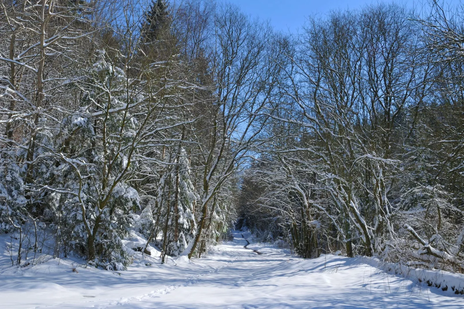 Les Doyards 2-Gebied winter 5km