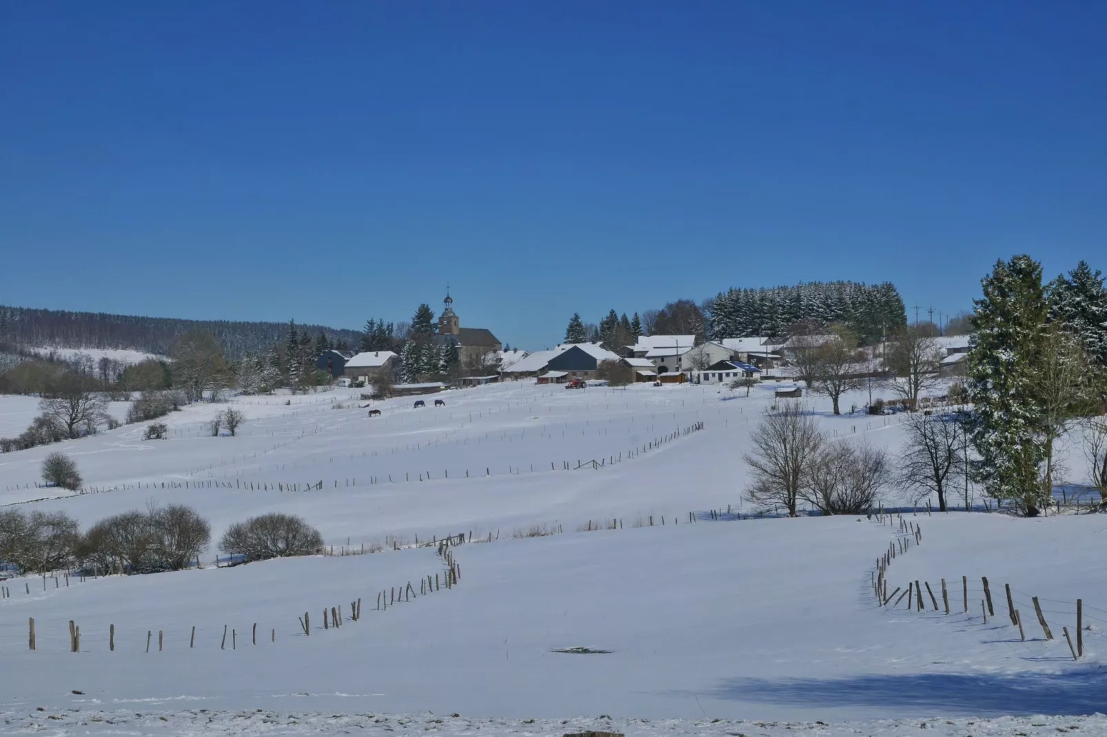 Les Doyards 4-Gebied winter 5km